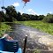 PLANTS COVERING THE RIVERBED - SAN FRANCISCO FARM - MIRANDA - MATO GROSSO DO SUL STATE - BRASIL - SOUTH AMERICA