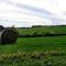 Rolled Haystacks in the Rolling Countryside