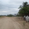 Km 45 - Curva do Leque - Estrada Pantanal Sul.