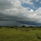 Pantanal - Fazenda Arara Azul - Chuvarada