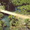Corrego Boiadeiro visto da Ponte da Ferronorte