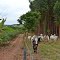 Fazenda do Serafim!!!
