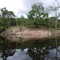 Amazon River