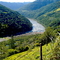Rio das Antas em Sto. Antonio dos Polidoros