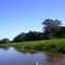 Estação das cheias no Pantanal matogrossense. Baixo curso do São Lourenço, divisa entre o Mato Grosso e o Mato Grosso do Sul.