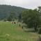 Sky Meadows, Trail Riders