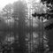 Treeflection