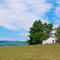 A White House in Virginia
