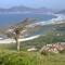 Praia do Siriu - SC