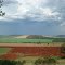 FAZENDA PRATINHA E FURQUIM