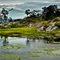 Lago em Serra Negra - Proibido banho.