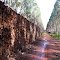 FAZENDA JARDIM - CUIABA MT BRASIL - 3621-1050