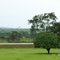 Jardins da Saneago da Região Noroeste.