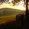 October morning sun
