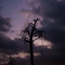 Evening Sky Near Brocks Gap