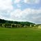 Virginia Pastureland
