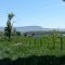 Montagnes près d'Harrisonburg