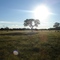 pantanal - pousada piuval