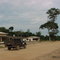 Carolina do Norte - MT