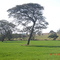Itaberá - Sitio João Mariano