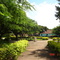 Praça Tomé 22/mar/2008