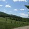 Downhill on Castle Rock Road
