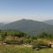 Three Ridges from Devils Knob