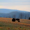 Out to Pasture