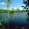 Rio Negro, Br.
