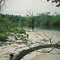 Banks of the Rio Negro