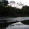 Amanhecendo -  Rio Ariaú - Iranduba/AM - BRASIL