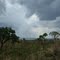 Cerrado e represa