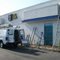 Virginia Beach Painter