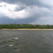 "Marolas prevendo o temporal..." Ilha do Bananal - TO