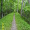 Unfinished Railroad SW of MNBP