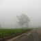 Neblina na rodovia