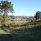 sitio dos pinheiros