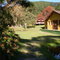 Paisagem de Inverno no Horto Florestal  - Campos do Jordão - Brasil