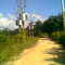 Estrada de Tiriri