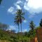 Paisagem em Águas Compridas 2