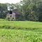 Old barn on Orange Springs Road