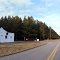 Tree Farm, Spotsylvania County, VA