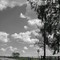 Fazenda Boa Vista