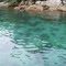 Ilha Grande - RJ