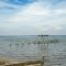 The Rappahannock River, Essex County, VA.