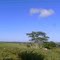 Céu azul