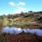 RPPN Fazenda Piquet - primeiro lago