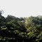 A house in the jungle