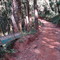 Caminho da Fé Luminosa a Campista