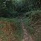 Travessia Pinda-Campos do Jordão - Descida por trilha fácil